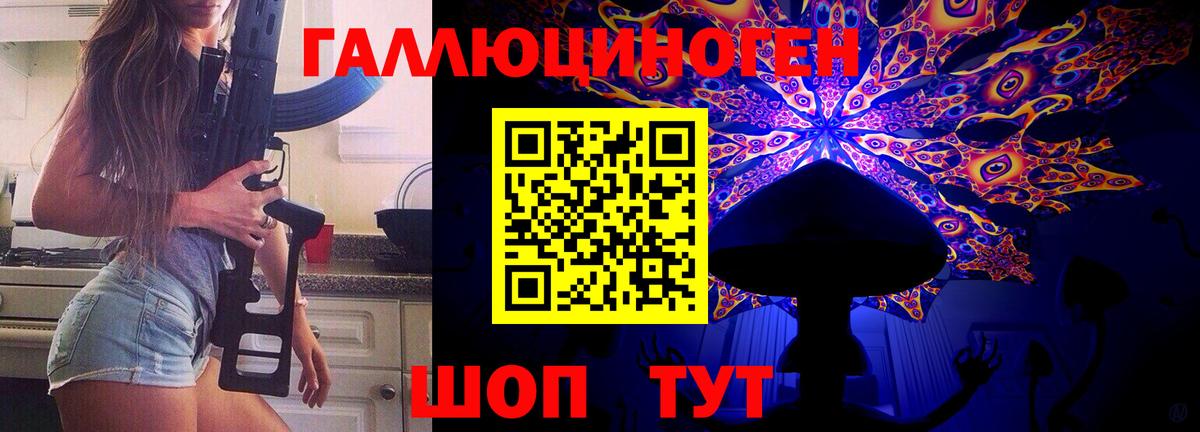 Псилоцибиновые грибы Psilocybine cubensis Кинель
