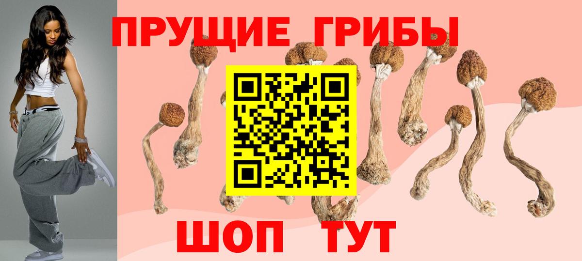 Галлюциногенные грибы ЛСД  Вход с VPN  где купить наркоту  Псилоцибиновые грибы мицелий  Кинель 
